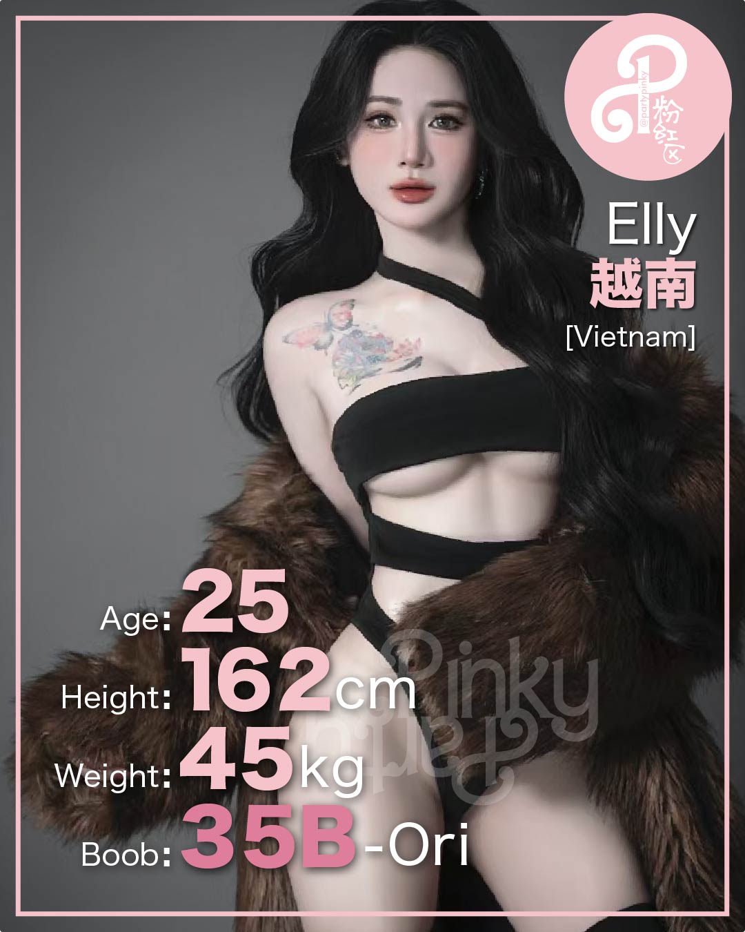 Party Pinky 粉红区 PJ Damansara Subang Escort Elly Vietnam