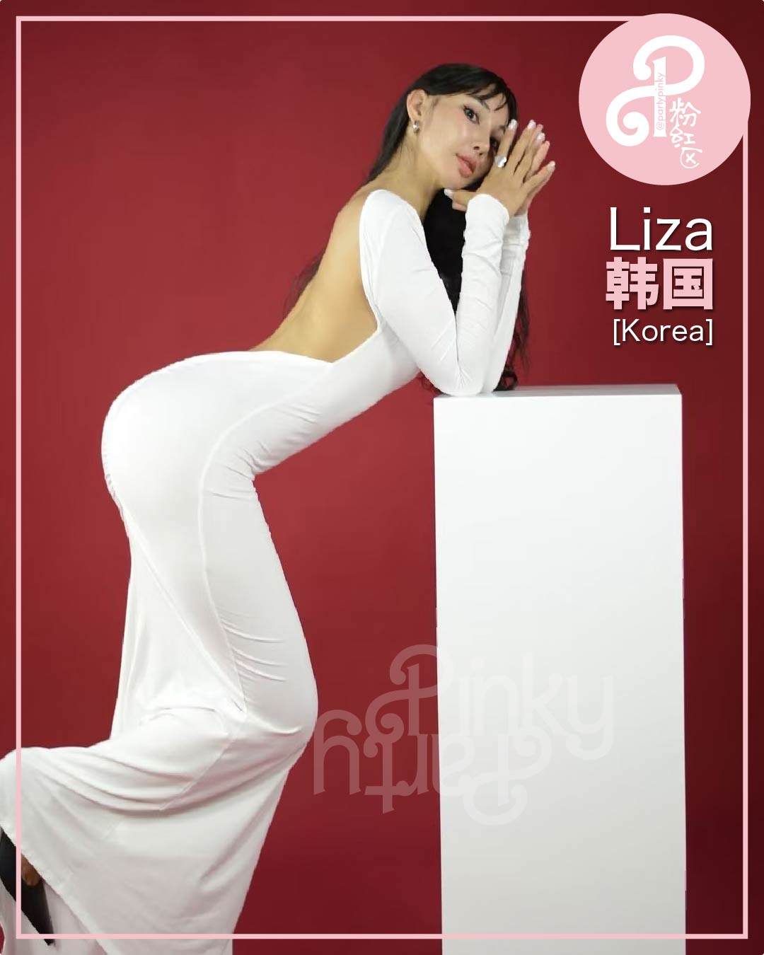 Party Pinky 粉红区 PJ Damansara Subang Escort Liza Korea