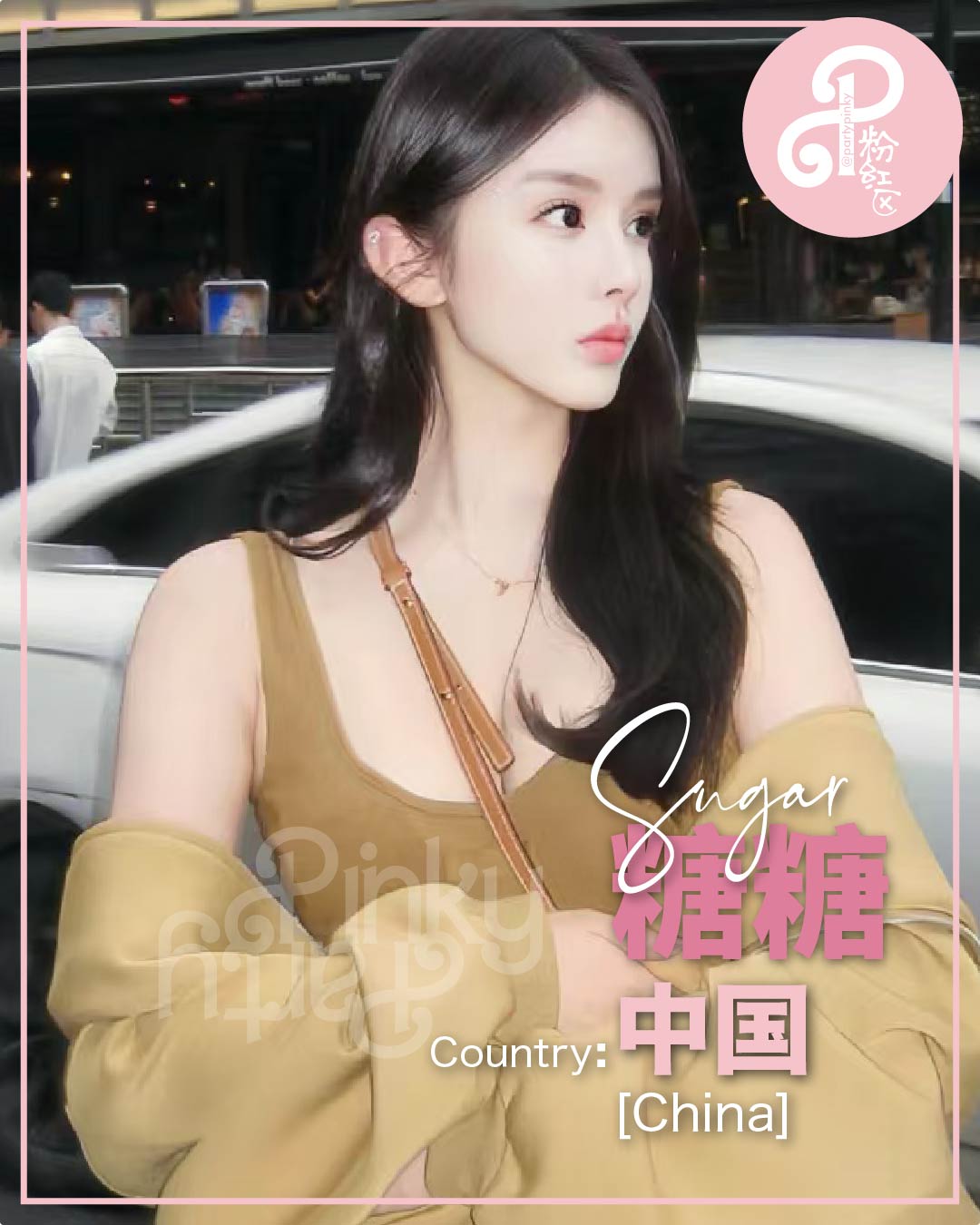 Party Pinky 粉红区 PJ Damansara Subang Escort Sugar 糖糖