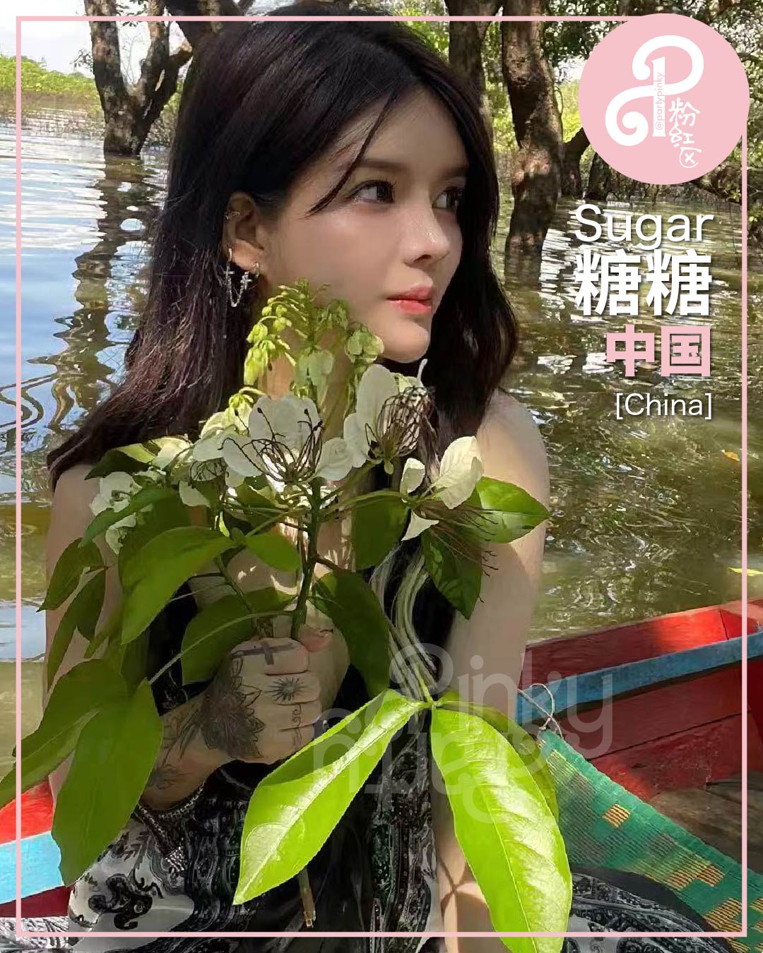 Party Pinky 粉红区 PJ Damansara Subang Escort Sugar 糖糖